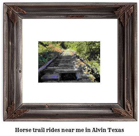 horse trail rides near me in Alvin, Texas